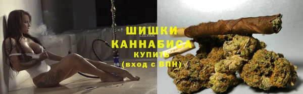 PSILOCYBIN Белокуриха