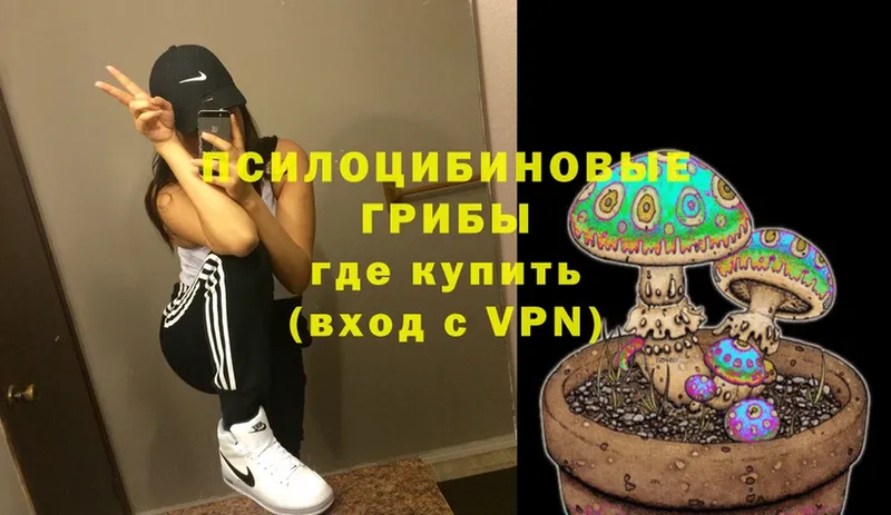 Псилоцибиновые грибы Magic Shrooms  Североуральск 